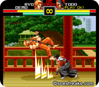 Art_of_Fighting_Europe.070png_thumb