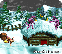 DKC3.291png_thumb