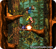 DKC3.490png_thumb