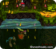 DKC3.582png_thumb