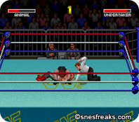 WWF_Super_WrestleMania_Europe.101png_thumb